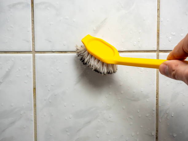 Best Kitchen Mold Remediation in Crane, TX