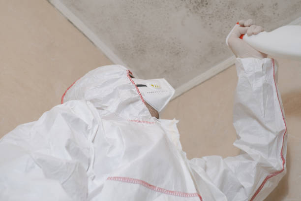Best Residential Mold Remediation in Crane, TX