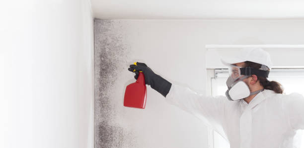 Best Mold Testing and Inspection Services in Crane, TX