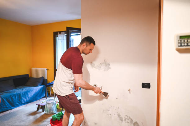 Best Preventive Mold Services in Crane, TX